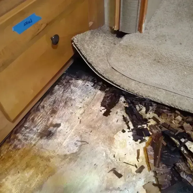 Best Wood Floor Water Damage Service in Ossian, IN